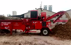 珠海市 臺風(fēng)災(zāi)后清理