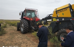 2019年，內(nèi)蒙奈吉牧草有限公司，采購一臺Anderson檸條平茬機(jī)